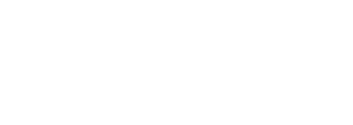 Car Expert